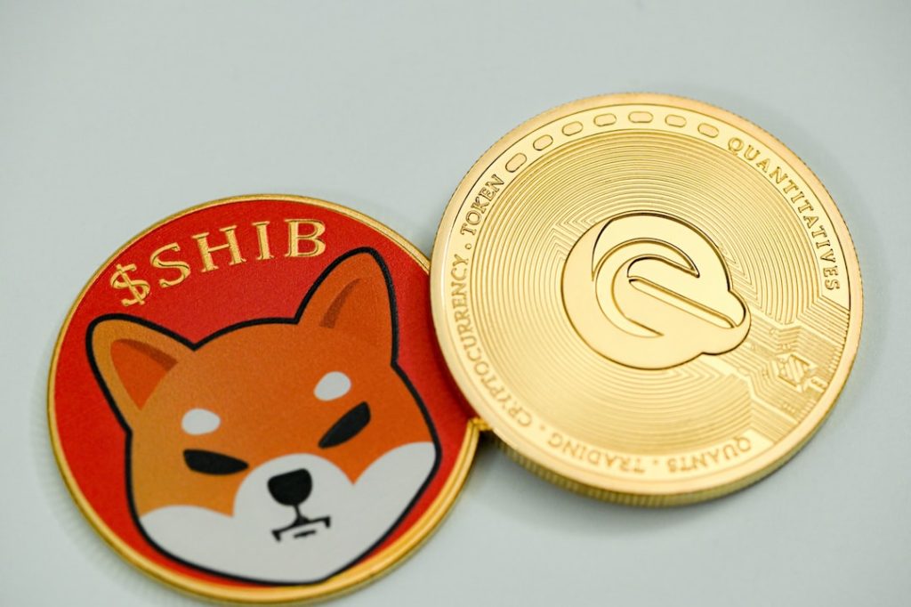 What is Shiba Inu? - A Shiba Inu Token